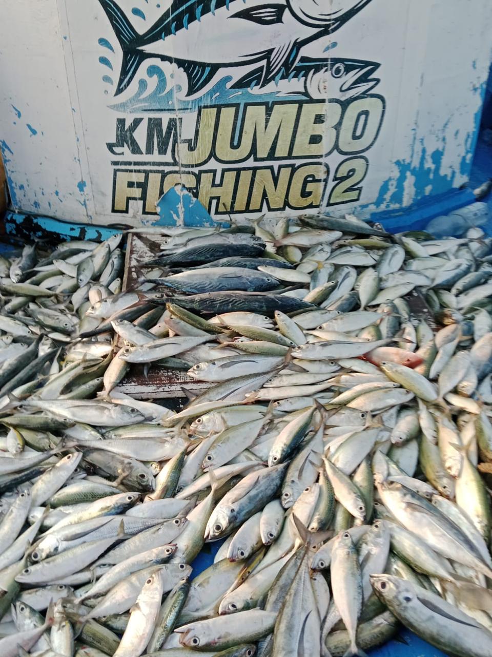 Dokumentasi trip KM JUMBO 20